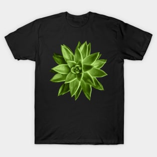 Greenery succulent Echeveria agavoides flower T-Shirt